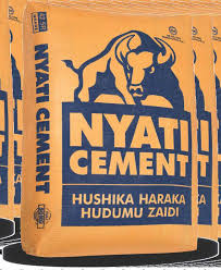 NAFASI za Kazi Lake Cement Limited August 2024